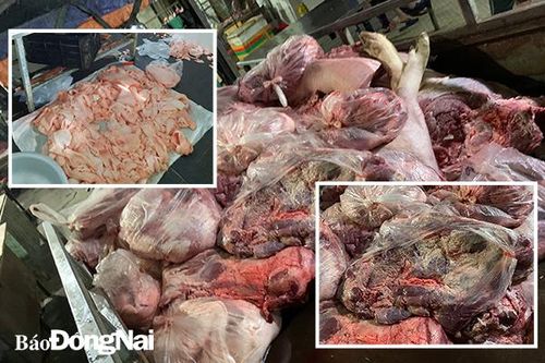 Phát hiện hơn 2 tấn thịt và nội tạng heo lậu