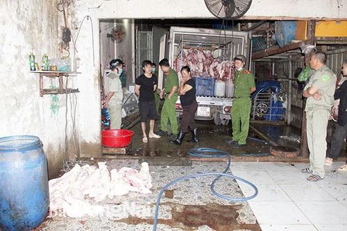 Xử lý nghiêm các cơ sở giết mổ heo trái phép