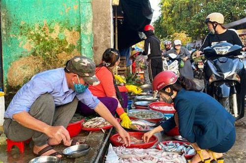 Ngư dân bãi ngang được mùa cá khoai