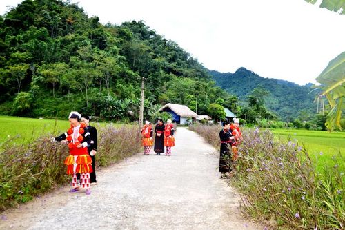 Sức sống nông thôn mới