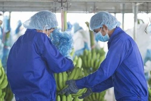 CTCP Hoàng Anh Gia Lai bán cổ phiếu HNG để trả nợ ngân hàng