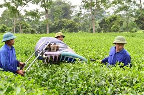 Các yếu tố tác động đến ứng dụng công nghệ vào sản xuất nông nghiệp