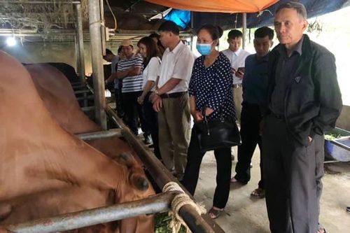 Giải bài toán môi trường ở Minh Châu