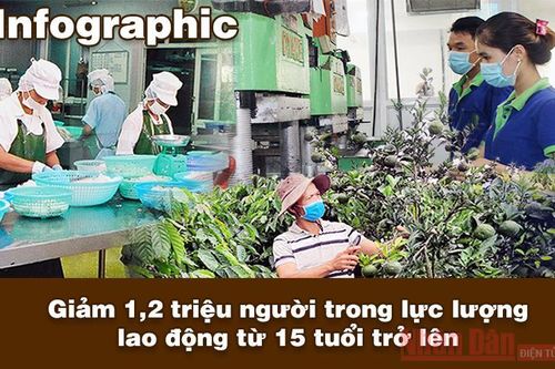 Giảm 1,2 triệu người trong lực lượng lao động từ 15 tuổi trở lên