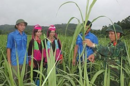Anh bộ đội và việc giúp dân