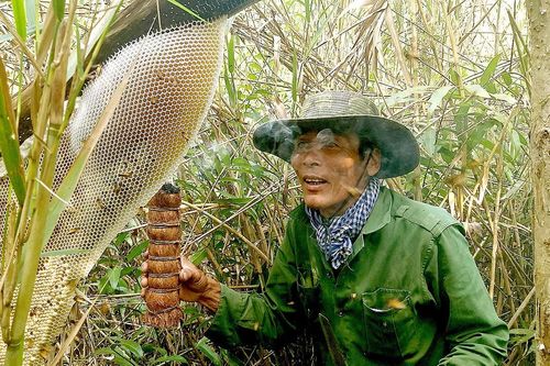 Thị trường mật ong thật giả lẫn lộn: Mua bằng lòng tin