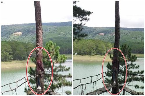 Đi Đà Lạt, cô gái nhờ người yêu chụp ảnh và cái kết