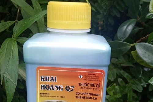 Nghi con trộm tiền, bố bắt 3 con uống thuốc diệt cỏ