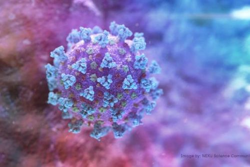 Biến thể virus Corona mới từ Anh lây lan nhanh nhưng không gây bệnh nặng hơn