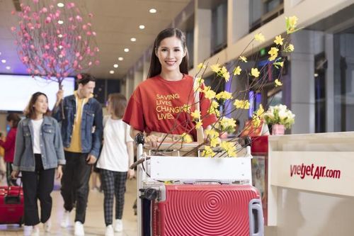 Đón Tết Tân Sửu ngập tràn mai, đào cùng Vietjet