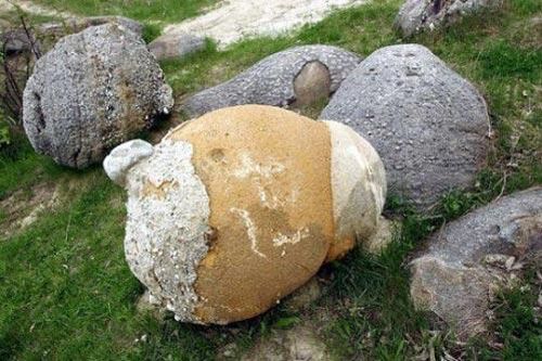 Những hòn đá biết 'đẻ con' khiến giới khoa học 'đau đầu'