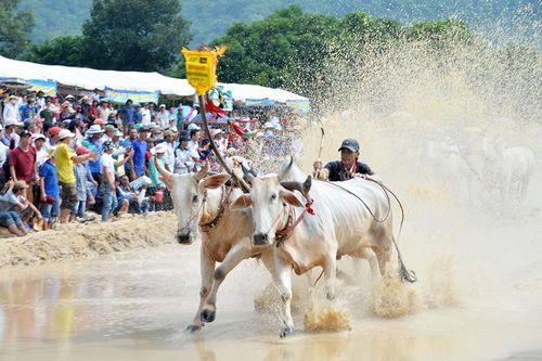 An Giang phát triển phong trào thể dục - thể thao trong vùng đồng bào dân tộc thiểu số