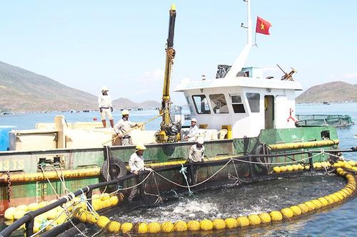 Phát triển bền vững nuôi trồng thủy sản trên biển
