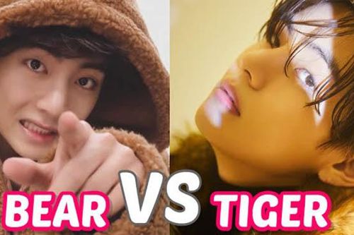 V BTS cố gắng dập tắt tranh cãi trông anh giống gấu hay hổ