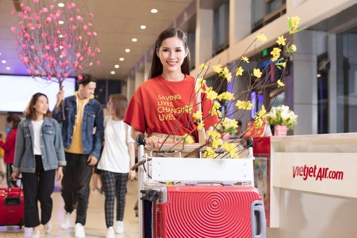 VietJet cung cấp dịch vụ vận chuyển mai, đào Tết Tân Sửu