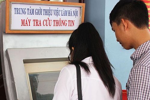 Khai trương cổng thông tin dịch vụ việc làm