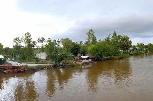 Yêu cầu hỗ trợ một bé gái tình nghi bị xâm hại