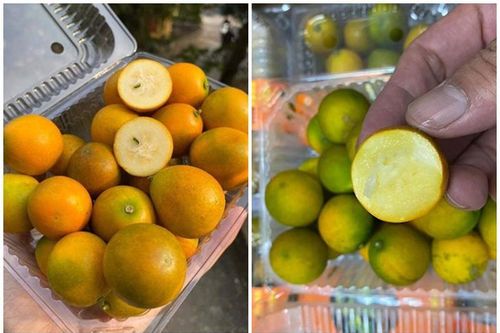 Quất ngọt không nước, đặc ruột hút khách dịp Tết Nguyên đán