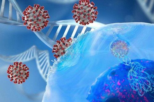 Covid-19: Trung Quốc xác nhận trường hợp đầu tiên nhiễm biến thể mới của virus SARS-CoV-2