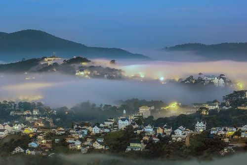 Tết Dương lịch đến Đà Lạt săn mây, ngắm hoa