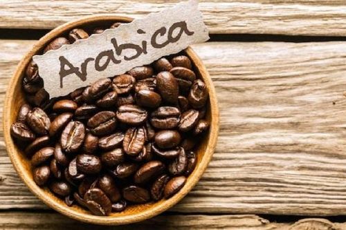 Bông, đường, cacao đồng loạt tăng mạnh nhờ đồng Dollar suy yếu