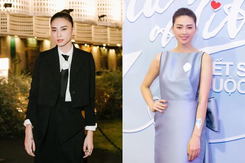 Cuộc sống độc thân ở tuổi 41 của 'đả nữ' Ngô Thanh Vân