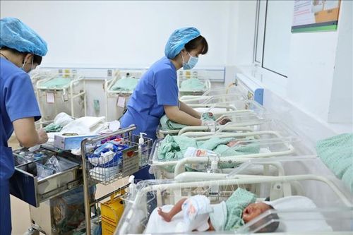 Khoảng 3.000 trẻ sẽ được sinh ra tại Việt Nam ngày đầu năm mới