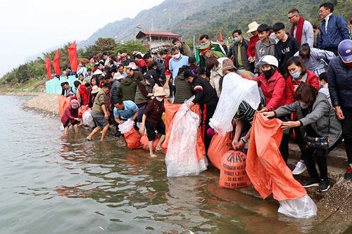 TX. Mường Lay thả trên 40 nghìn con cá giống xuống sông Đà tái tạo nguồn lợi thủy sản