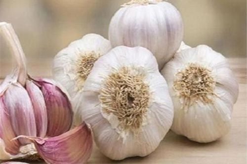 Bảo quản tỏi khô tới vài năm với những mẹo đơn giản