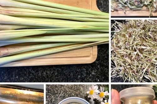 Mẹ đảm tự làm gia vị, món ăn được tẩm ướp siêu ngon, chị em vào thực hành ngay