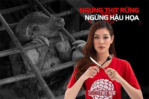 Người nổi tiếng lên tiếng khẩn cấp kêu gọi cộng đồng không tiêu thụ động vật hoang dã