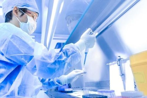 Sáng ngày 1/1, Việt Nam không ghi nhận ca mắc Covid-19 ở cộng đồng