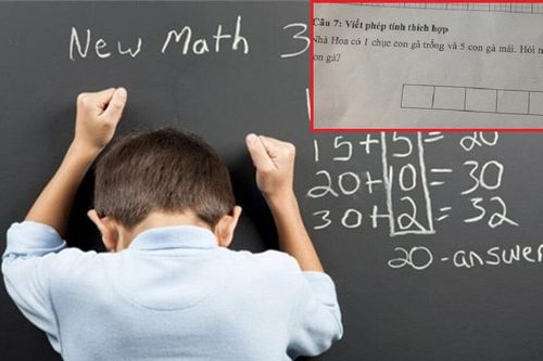 Bài toán đếm số gà khiến phụ huynh ngỡ ngàng: Cho số gà nhà Hoa nhưng lại đi hỏi số gà nhà Long?
