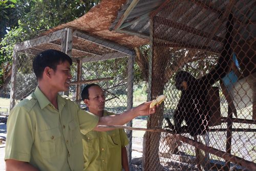 Lời thề còn ở trên ngàn