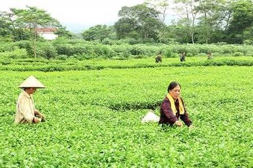 Dân vận khéo để xây dựng nông thôn mới