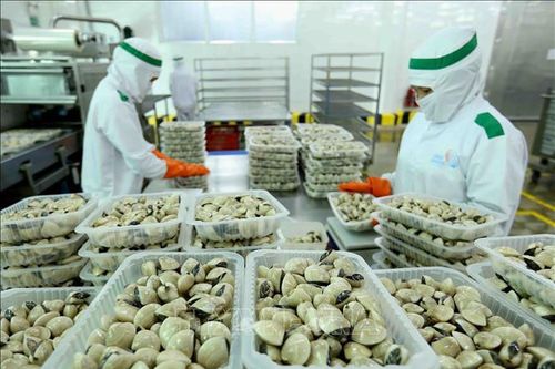 Từ 6h ngày 1-1-2021 sẽ áp dụng tạm thời Hiệp định UKVFTA