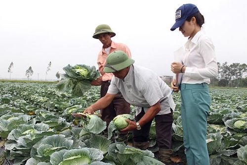 Ứng dụng công nghệ vào trồng trọt