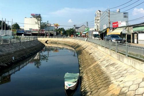 Màu xanh trở lại