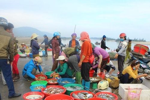 Hà Tĩnh: Mùa 'lộc biển' ở bãi ngang