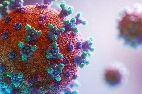Phát hiện biến thể mới virus SARS-CoV-2 tại Việt Nam