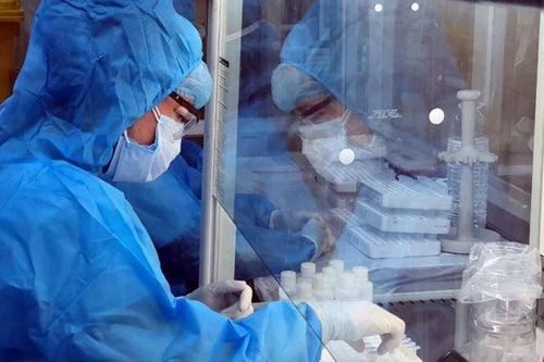 Nóng: Việt Nam phát hiện biến thể mới của virus SARS-CoV-2