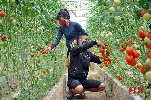 Khoa học và công nghệ Hà Tĩnh bắt nhịp cách mạng công nghiệp 4.0