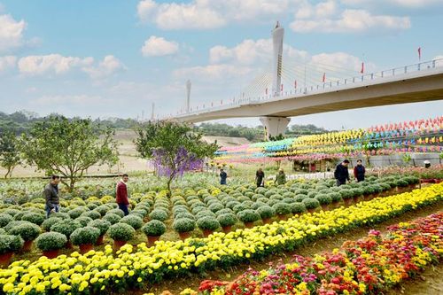 Những điểm thu hút khách du lịch Tết dương lịch