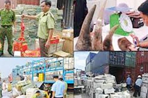 Tiếp nhận 166 yêu cầu xác minh về chống buôn lậu từ các nước