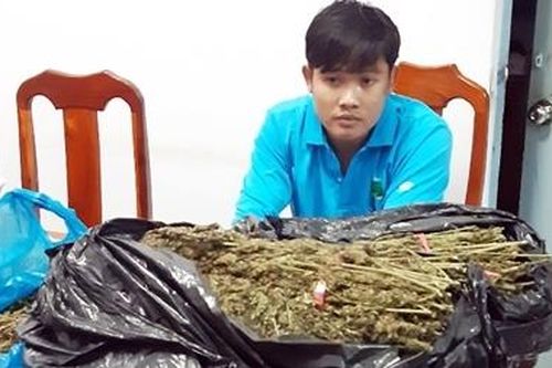 Vận chuyển hơn 10kg cần sa khô bằng xuồng máy