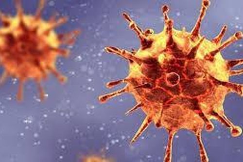 Biến thể mới của SARS-CoV-2 ở Việt Nam có ảnh hưởng đến vaccine phòng COVID-19?