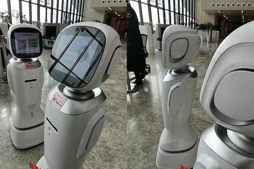 Hai robot cãi nhau trong thư viện ở Trung Quốc
