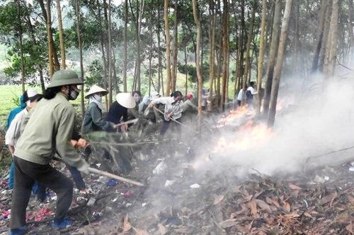 Không chủ quan trong phòng chống cháy rừng
