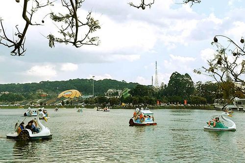 Hơn 58 nghìn lượt du khách đến Đà Lạt dịp Tết Dương lịch