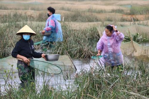 Dầm mình săn 'lộc trời' ngày giá rét